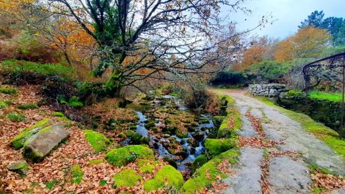 Lindoso Casa | Charming house in Lindoso with terrace and parking included