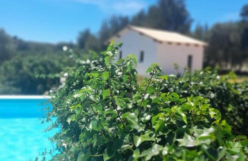Sao Bartolomeu Casa | Charming house in the countryside