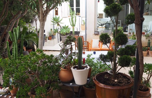 Saint-Victor Casa | CHARMING HOUSE WITH GARDEN NEAR VIEUX PORT - ENDOUME ST VICTOR13007 MARSEILLE