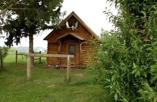Pony Casa | Charming Log Cabin with Mountain Views near Trails in Pony, Montana