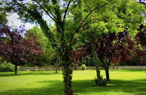 Arles Villa | Mas con encanto en alquiler por la semana