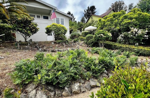 Almonte Casa | Charming Mill Valley Craftsman!
