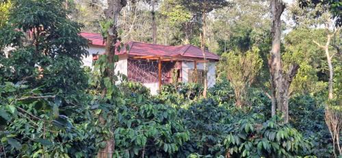 Bittangala Casa | Charming Nest