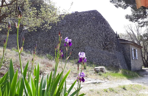 Saumane-de-Vaucluse Casa | Charming old farmhouse isolated in the countryside of Provence