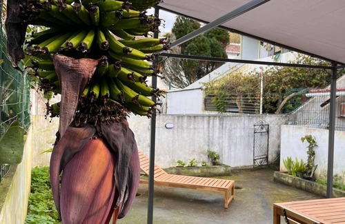 Angra do Heroismo Apartamento | Charming & Peaceful T3 with Private Garden -walking distance to the beach*