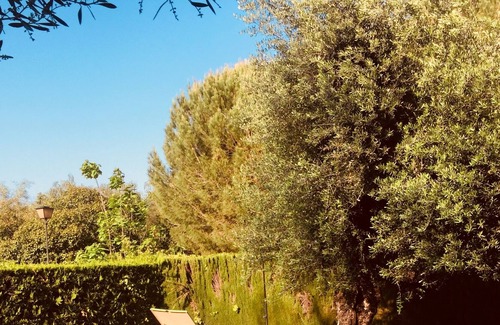 Mairena del Aljarafe Casa | Encantador estudio independiente tranquilo con piscina