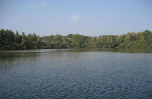 Saint-Viatre Cabaña | Encantadora casa rural en Sologne con estanque y barca, ideal para pesca y ciclismo