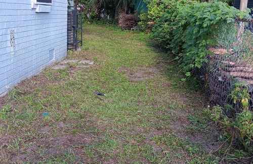 Jacksonville Apartamento | Charming studio apartment downtown Jacksonville