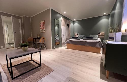 Bodo Apartamento | Charming Studio - Free parking - Close to harbour