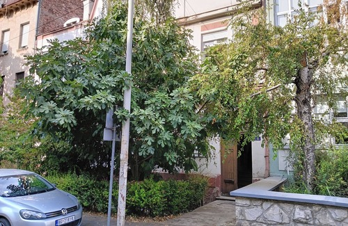 Palilula Apartamento | Charming studio in lovely Beograd with AC and WiFi. Enjoy your stay.