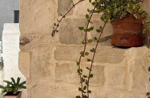 Alberobello Casa | Charming suites among trulli in the heart of Alberobello