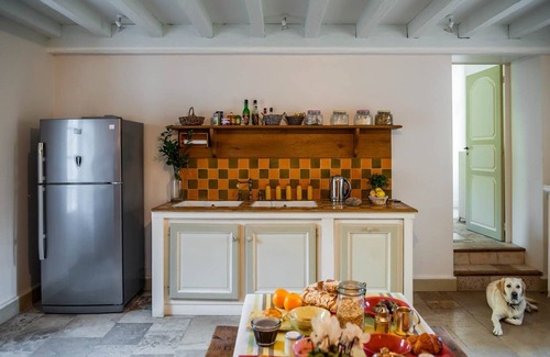 Cales Otro | Chartreuse Des Roses
