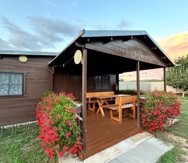 Novy Prerov Apartamento | Chata 1