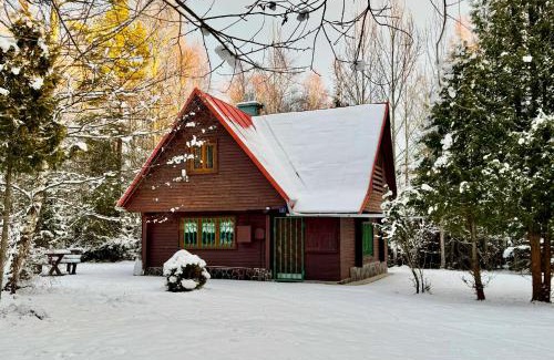 Tatranska Lomnica Chalet De Esquí | Chata ALPINA 1