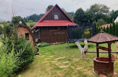 Bukovina Casa | Chata Cynthia