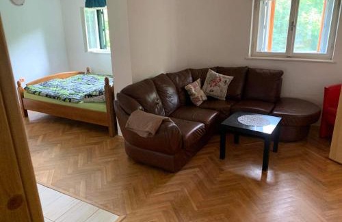 Rostin Chalet De Esquí | Chata na Bunči