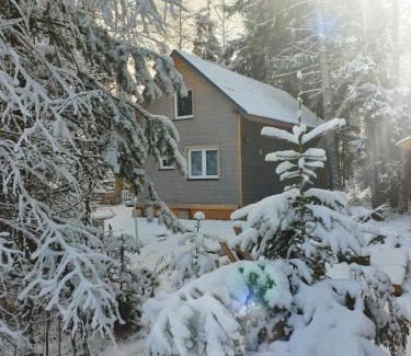 Tatranska Strba Chalet De Esquí | Chata pod zubačkou