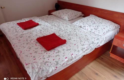 Dolni Moravice Apartamento | Chata Salma Jeseníky