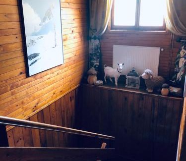 Vitkovice Casa | Chata u Kostela