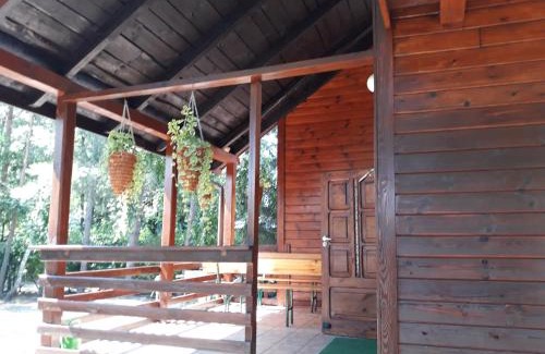 Okuninka Casa | Chata u Sylwii