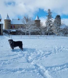 Quins Cama Y Desayuno | Chateau de Cadars