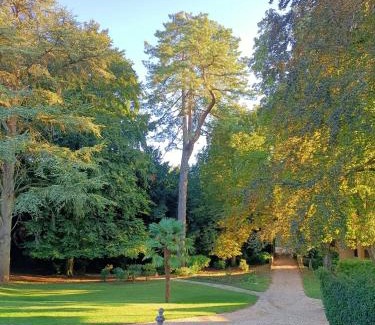 Belleme Cama Y Desayuno | Chateau de la Grand'Maison