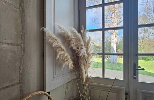 Artannes-sur-Indre Casa | Château des Archevêques in the heart of a village