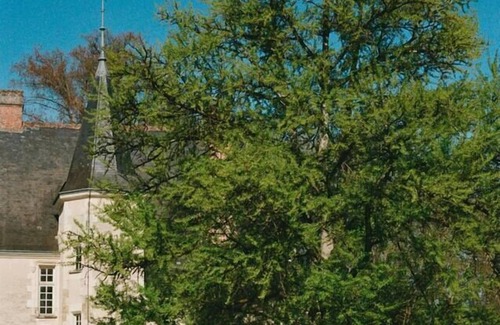 Artannes-sur-Indre Casa | Château des Archevêques in the heart of a village