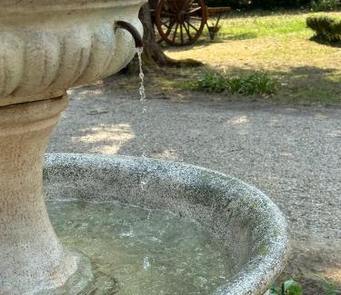 Bayon-sur-Gironde Cama Y Desayuno | Chateau La Croix De Millorit