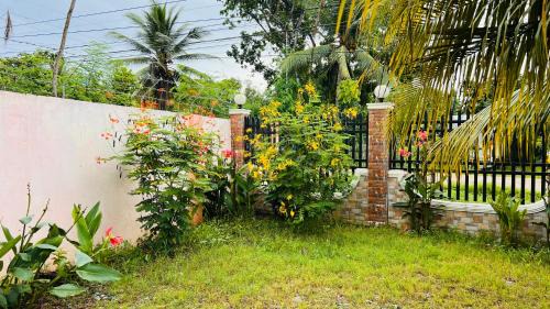 San Pedro Casa | Chateau La Princesa Family Room with kitchen & cozy terrace