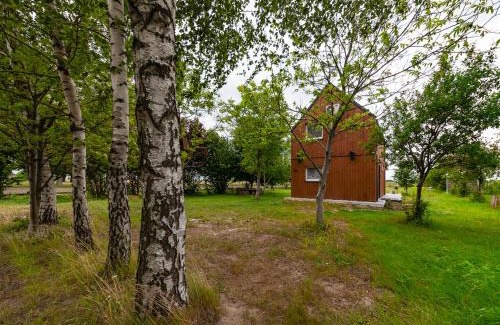 Czerwinsk nad Wisła Casa | Chatka Czarodzieja