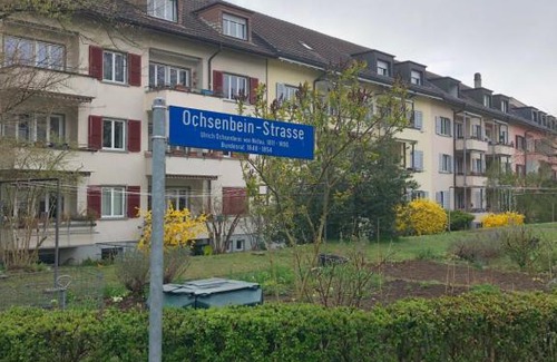 Mattenhof-Weissenbuhl Casa | Cheap Room and Kitchen