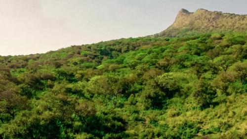 Southern Nations Cabina | Chebera Elephant Paw Lodge