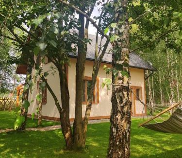 gmina Stezyca Casa | Checz pod Brzozami