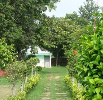 Gurugram Casa | Cheers and Company Farms