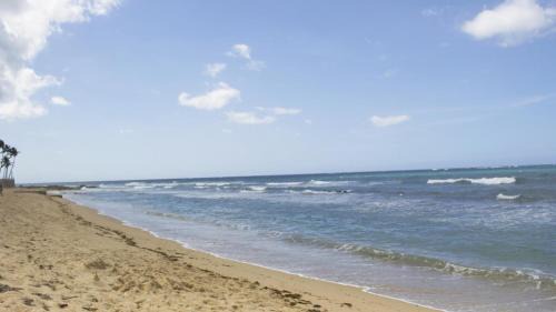 Condado Apartamento | Chefs Delight