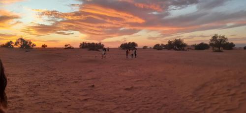 El Gouera Otro | Chegaga desert Trips camp