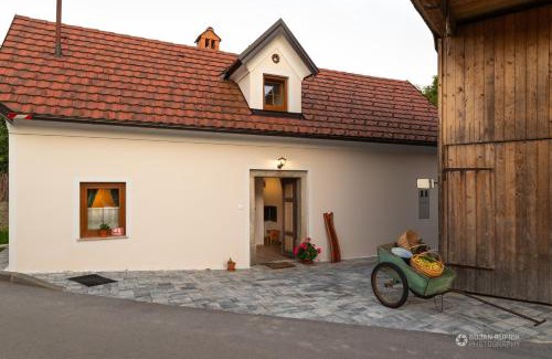 Kozarisce Casa | Cherry house - cosy house - ideal for bear watching, in the neighborhood of the medieval Snežnik castle