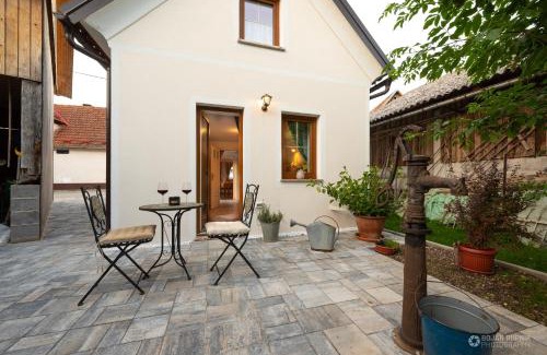 Kozarisce Casa | Cherry house - cosy house - ideal for bear watching, in the neighborhood of the medieval Snežnik castle