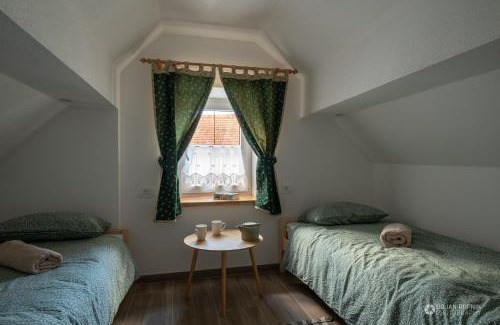 Kozarisce Casa | Cherry house - cosy house - ideal for bear watching, in the neighborhood of the medieval Snežnik castle