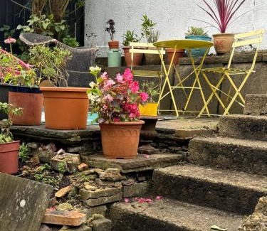 Chesham Casa | Chesham Studio