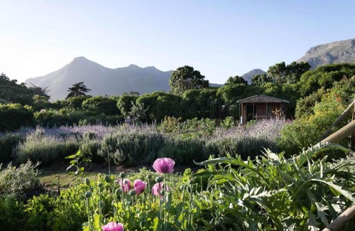 Noordhoek Casa | Chez Alice