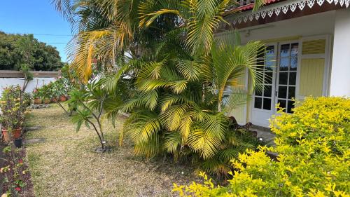 La Riviere Saint-Louis Casa | Chez Gilou