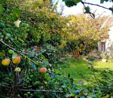 Ige Casa | Chez les sœurs