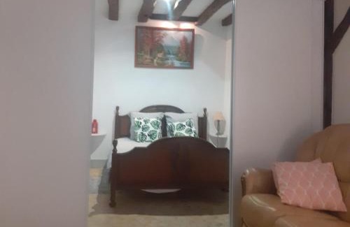 Pontlevoy Apartamento | Chez Mick