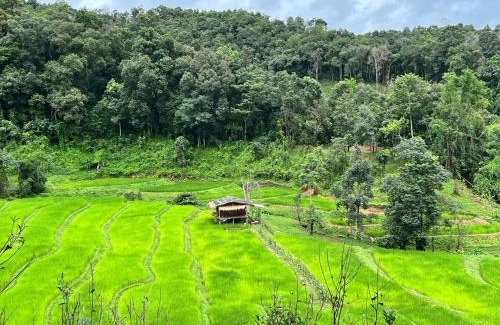 Samoeng Casa | Chibacall ชิบะคอล, Karen Mountain Hideaway Homestay