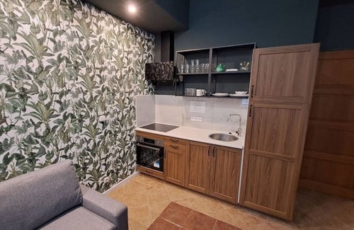 Zizkov Apartamento | Chic+Contemporary Zizkov Studio