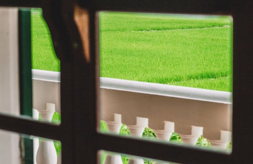 Cam Chau Casa | Chic French Colonial Villa in the rice fields