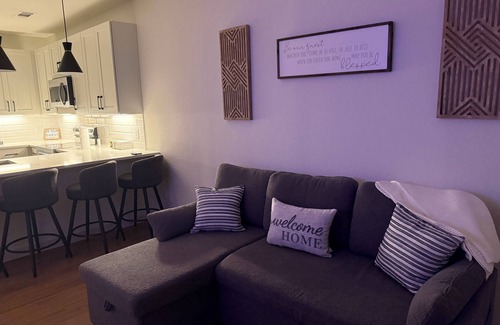 Pflugerville Apartamento | Chic Luxury Lakefront 1-bedroom apartment with AC, WiFi in Pflugerville