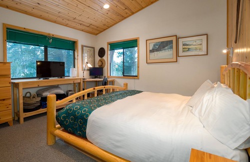 West Meadows Casa | Chicken Feathers Left Wing